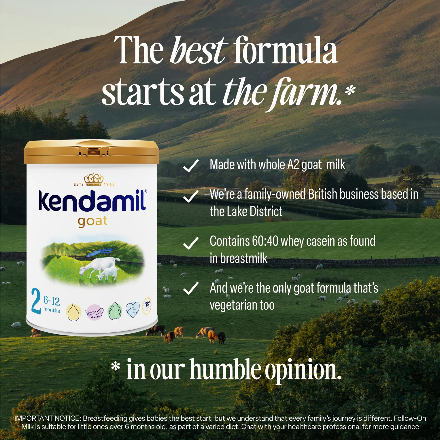 Goat Follow-On Milk - Image 4